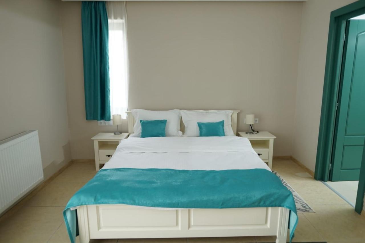Green Villa Сибиу Экстерьер фото