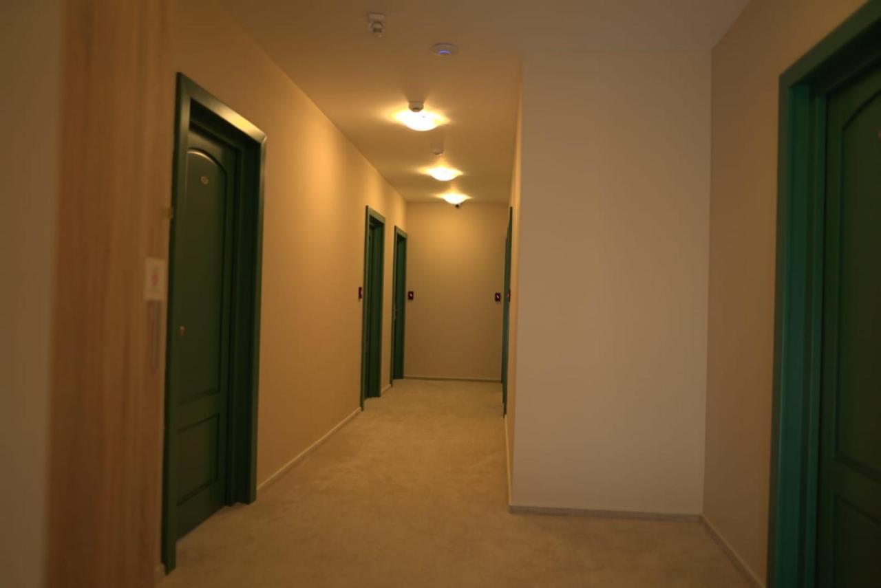 Green Villa Сибиу Экстерьер фото