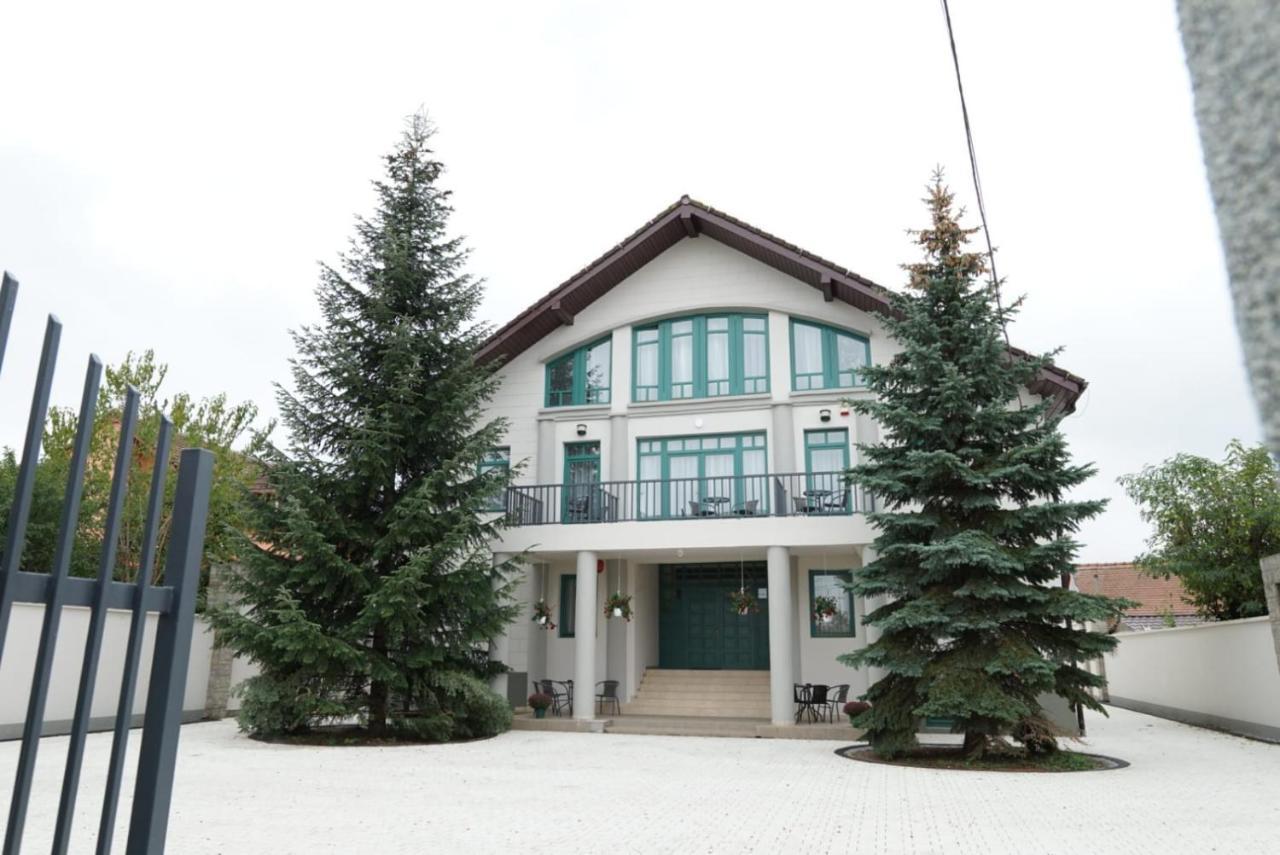 Green Villa Сибиу Экстерьер фото