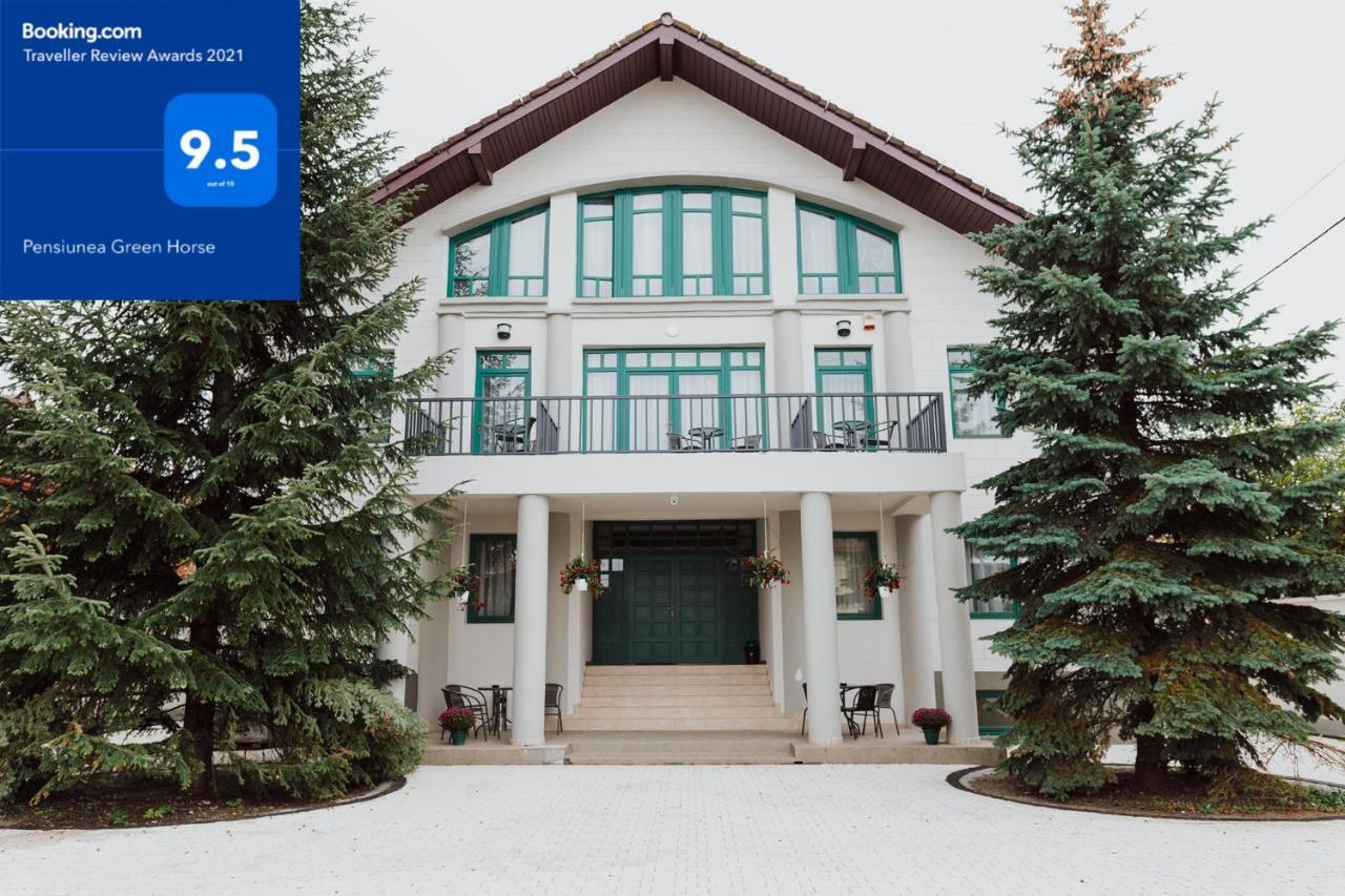 Green Villa Сибиу Экстерьер фото